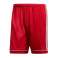 adidas Squadra 17 Shorts 226 Bild 1