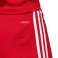 adidas Squadra 17 Shorts 226 Bild 5