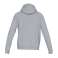 Under Armour Rival Fleece Logo Hoodie Sweatshirt 035 image 9