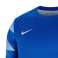 Nike Dry Park IV goalkeeper sweatshirt 463 image 5