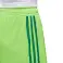 adidas Regista 18 Shorts 598 image 3