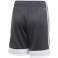 Shorts til børn adidas Tastigo 19 Shorts grå DP3255/DP3175 DP3255/DP3175 billede 5