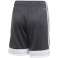 Shorts for kids adidas Tastigo 19 Shorts grey DP3255/DP3175 DP3255/DP3175 image 5