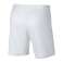 Nike Dry Academy Shorts 101 foto 5