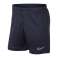 Nike Dry Academy Shorts 452 billede 1