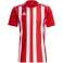 Men's t-shirt adidas Striped 21 Jersey red & white GN7624 GN7624 image 1