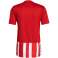 Men's t-shirt adidas Striped 21 Jersey red & white GN7624 GN7624 image 4