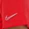 Kraťasy Nike Dry Academy 657 fotka 4