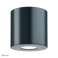 Paulmann Lampe d’extérieur pour maison Luminaire apparent IP44 5,3W 230V 55° Warm 796 photo 3