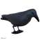 Raven XXL BIRD REPELLER image 1