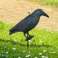 Raven XXL BIRD REPELLER image 2