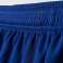 Pantalones cortos infantil adidas Parma 16 Junior azul AJ5882/AJ5894 AJ5882/AJ5894 fotografía 4