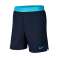 Nike Pro Flex Vent Max 3.0 Shorts 452 image 4