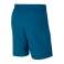 Nike Flex Training Shorts 301 fotografía 5