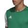 T-shirt infantil adidas Estro 19 Jersey JÚNIOR verde DP3238/DP3216 foto 48