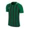 Camiseta Nike Striped Division III Jersey 302 fotografía 1