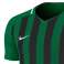 Camiseta Nike Striped Division III Jersey 302 fotografía 4