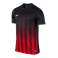 Nike Striped Division Jersey II T-Shirt 012 Bild 1