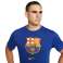 Erkekler için Nike FC Barcelona Tee Evergreen Armalı 2 forma mavi CD3115 455 CD3115 455 fotoğraf 24