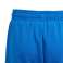 adidas JR BOS shorts 809 billede 20