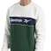 Herren Sweatshirt Reebok Classic Linear Crew weiß-grün FT7335 FT7335 Bild 5