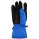 Ανδρικά γάντια σκι 4F κοβάλτιο H4Z20 REM006 36S εικόνα 15