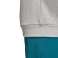 Meeste dressipluus adidas Trefoil Crew hall CY4573 CY4573 foto 10