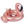 Baby Zwemmend Ring Opblaasbaar Bootwiel voor Jonge geitjes met Flamingozetel Maximum 20kg 1 3yrs foto 2