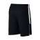 Nike Jordan 23 Alpha Training Shorts 013 photo 3