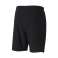 Puma teamFINAL 21 Casuals shorts 03 image 1