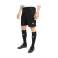 Puma teamFINAL 21 Casuals Shorts 03 Bild 2