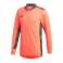 adidas AdiPro 20 Torwart Torwart Sweatshirt 191 Bild 1
