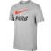 Nike PSG Tr T-shirt grå T-shirt til mænd CD0406 063 CD0406 063 billede 1