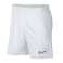 Nike Dry Academy Shorts 101 foto 1