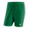Nike Venom II Short Tissé 302 photo 2