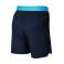 Nike Pro Flex Vent Max 3.0 Short 452 photo 21