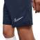 Nike Dry Academy Shorts 452 image 8