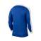 Nike Striker IV Dri Fit Sleeve 463 image 3