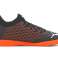 JR Future Puma 6.4 IT 01 Bild 9