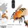 Bieneninsekt ferngesteuerter Roboter mit Fernbedienung Bild 1