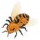 Bičių vabzdžių nuotoliniu būdu valdomas robotas su nuotolinio valdymo pultu nuotrauka 3