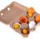 Huevos de madera Montessori con yemas extraíbles fotografía 2
