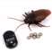 Insecto cucaracha a control remoto + control remoto fotografía 1
