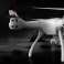 RC drons Syma X8SW-D 2.4G 4CH FPV Wi-Fi 720p attēls 2