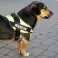 Шлейка для собак сильная S 50-60cm Police K9 черный изображение 2