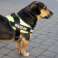 Harnais pour chien solide L 65-80cm Police K9 rouge photo 3