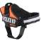 Harnais pour chien solide L 65-80cm Police K9 orange photo 2