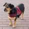 Harnais pour chien solide M 65-80cm Senior Dog noir photo 1