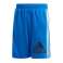 adidas JR BOS Shorts 809 Bild 1