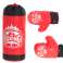 Punching bag and gloves set for boxing image 1